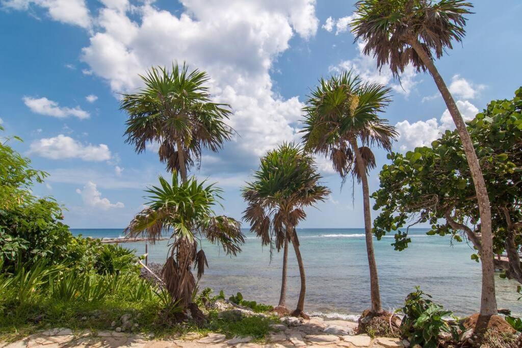 Ground Level Garden Condo At Akumal South By Tao Santamar Extérieur photo